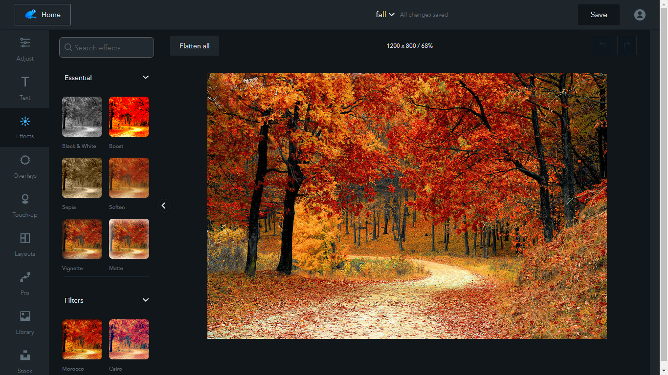 Photo Editor Ribbet: Free Online Photo Editing